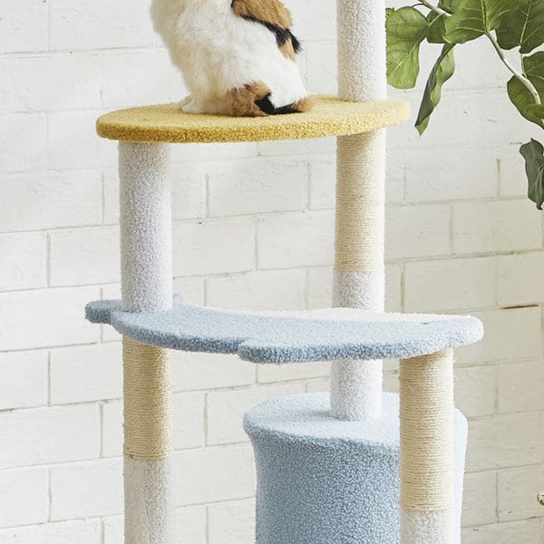 パステルブルー色のキュートなキャットタワー | キャットタワー パステル ネコ ねこ 猫 スリム 据え置き おしゃれ 猫タワー おもちゃ 猫用品 運動不足 キャットツリー 運動不足解消 ペット用品