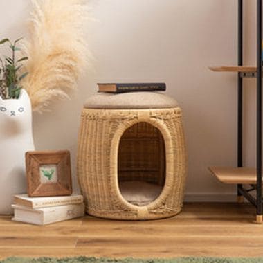 ペットスツール ペット スツール 犬 いぬ ねこ 犬猫 キャット ドッグ アニマル 天然木 ラタン 籐 小型犬 猫 収納 家具 収納家具 自然 木 ナチュラル シンプル おしゃれ お洒落 オシャレ かわいい