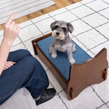 ペットベッド ベッド ペット用ベッド 犬用 猫用 ドッグ キャット かわいい 可愛い オシャレ お洒落 おしゃれ シンプル スマート 無地 雲 デニム 猫モチーフ 猫型 猫柄 マットレス ペット用 猫 犬