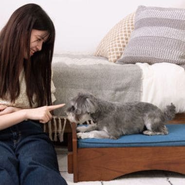 ペットベッド ベッド ペット用ベッド 犬用 猫用 ドッグ キャット かわいい 可愛い オシャレ お洒落 おしゃれ シンプル スマート 無地 雲 デニム 猫モチーフ 猫型 猫柄 マットレス ペット用 猫 犬