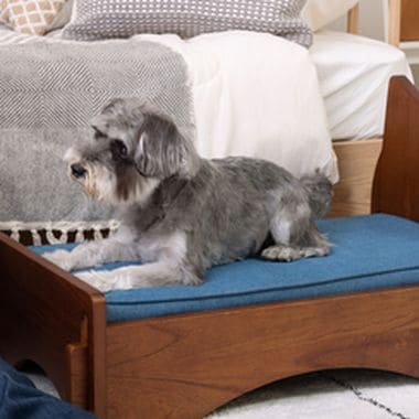 ペットベッド ベッド ペット用ベッド 犬用 猫用 ドッグ キャット かわいい 可愛い オシャレ お洒落 おしゃれ シンプル スマート 無地 雲 デニム 猫モチーフ 猫型 猫柄 マットレス ペット用 猫 犬