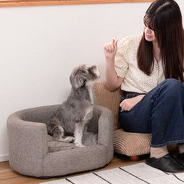ペットソファ カバーリング ペットベッド ペット用 ペット用品 ベッド ペット シンプル おしゃれ お洒落 オシャレ 可愛い かわいい 北欧風 北欧 グレー アイボリー ファブリック 灰色 白色 布地