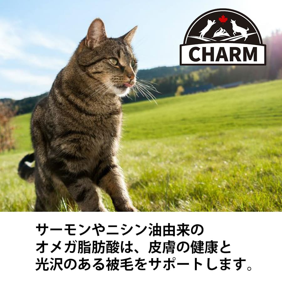 チャーム ラム&サーモン キャット | チャーム CHARM ラム&サーモン キャット 低アレルギー 猫用 キャットフード 正規品 毛玉コントロール 尿路ケア 高タンパク質 オメガ脂肪酸 被毛 筋肉 サポ