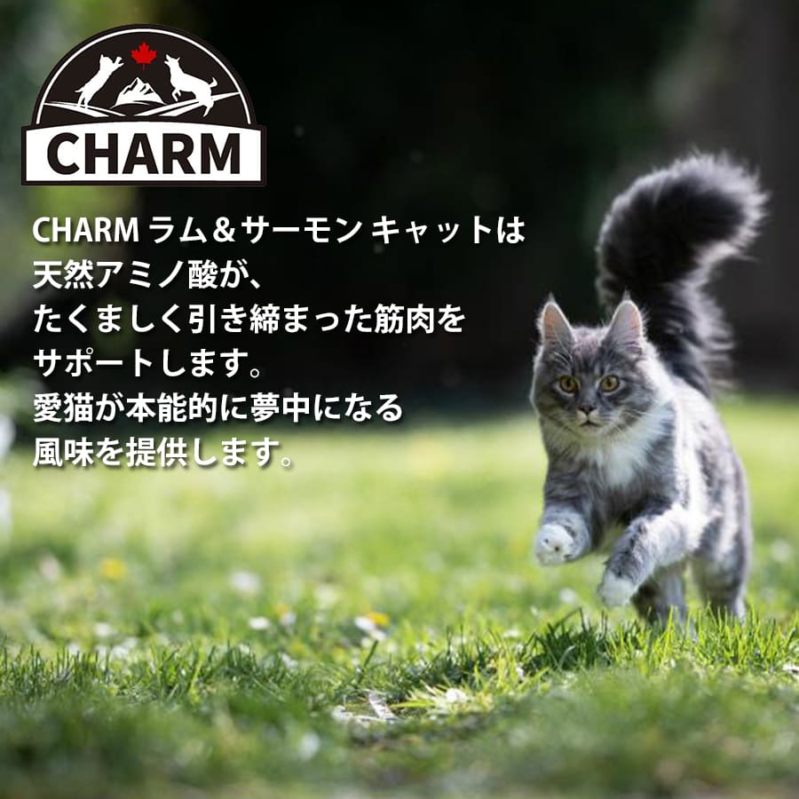 チャーム ラム&サーモン キャット | チャーム CHARM ラム&サーモン キャット 低アレルギー 猫用 キャットフード 正規品 毛玉コントロール 尿路ケア 高タンパク質 オメガ脂肪酸 被毛 筋肉 サポ