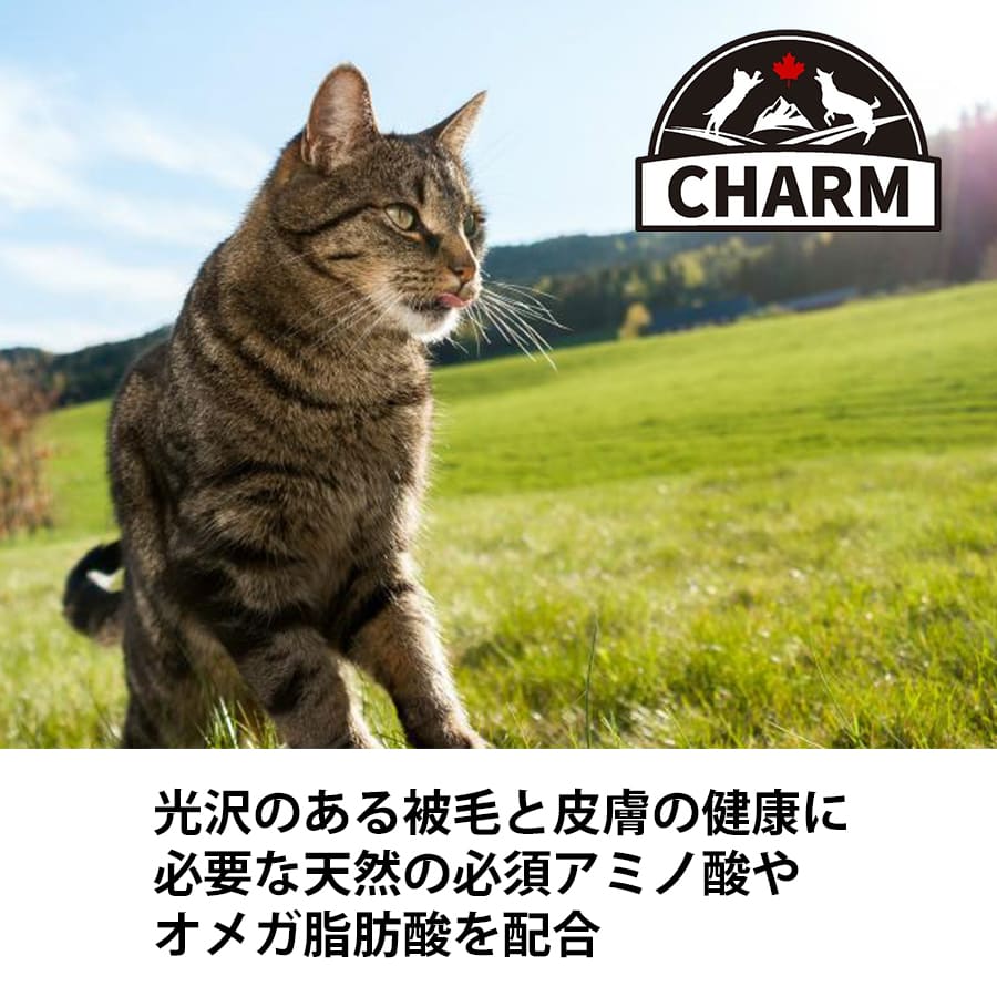 チャーム サーフ&ターフ キャット | CHARM チャーム キャットフード キャット 正規品 サーフ&ターフ 低アレルギー カリカリ 猫 毛玉コントロール 排尿器ケア 高たんぱく質 被毛 皮膚 サポート