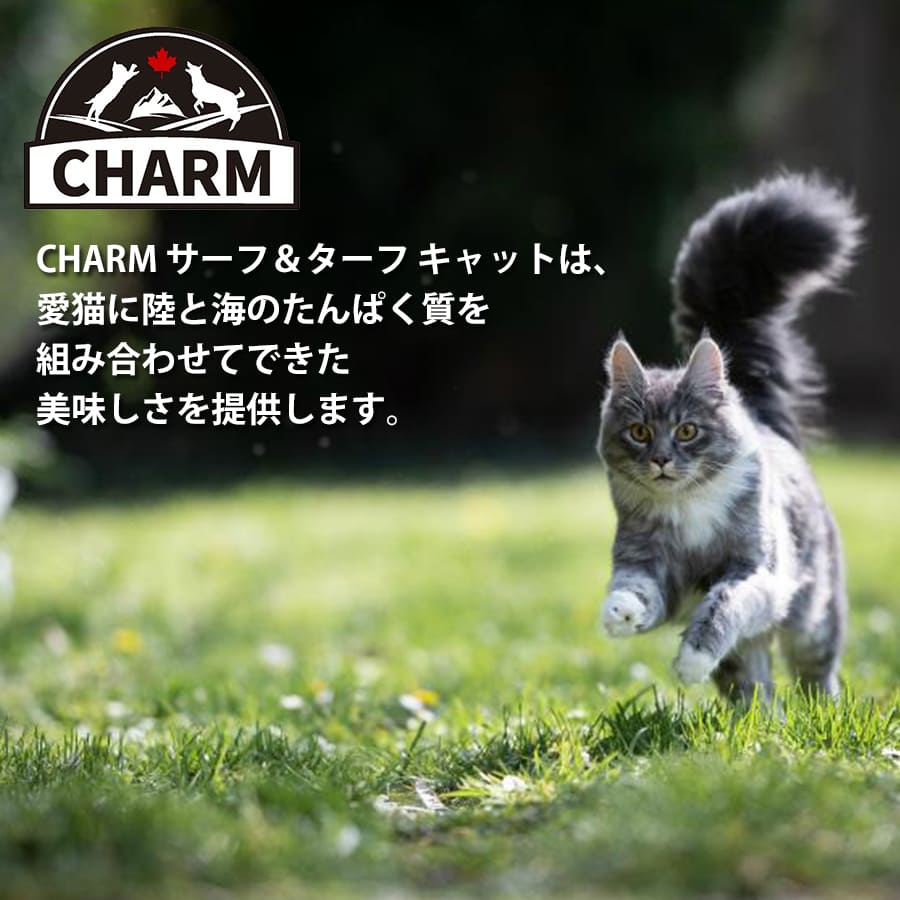 チャーム サーフ&ターフ キャット | CHARM チャーム キャットフード キャット 正規品 サーフ&ターフ 低アレルギー カリカリ 猫 毛玉コントロール 排尿器ケア 高たんぱく質 被毛 皮膚 サポート