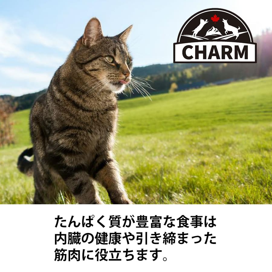 チャーム アダルトキャット | CHARM チャーム アダルトキャット キャットフード 正規品 猫用 カリカリ 低アレルギー性 尿路ケア 毛玉コントロール 動物性タンパク質 被毛 皮膚 サポート Non-GMO