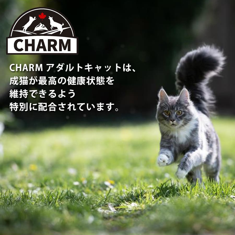 チャーム アダルトキャット | CHARM チャーム アダルトキャット キャットフード 正規品 猫用 カリカリ 低アレルギー性 尿路ケア 毛玉コントロール 動物性タンパク質 被毛 皮膚 サポート Non-GMO
