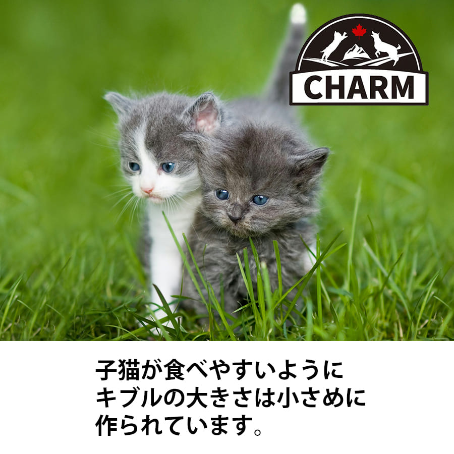 チャーム キトゥン | CHARM チャーム 正規品 キャットフード キトゥン 子猫 低アレルギー性 グレインフリー オメガ3脂肪酸 消化しやすい 皮膚 被毛 関節 泌尿器ケア サポート 毛玉ケア Non-GMO