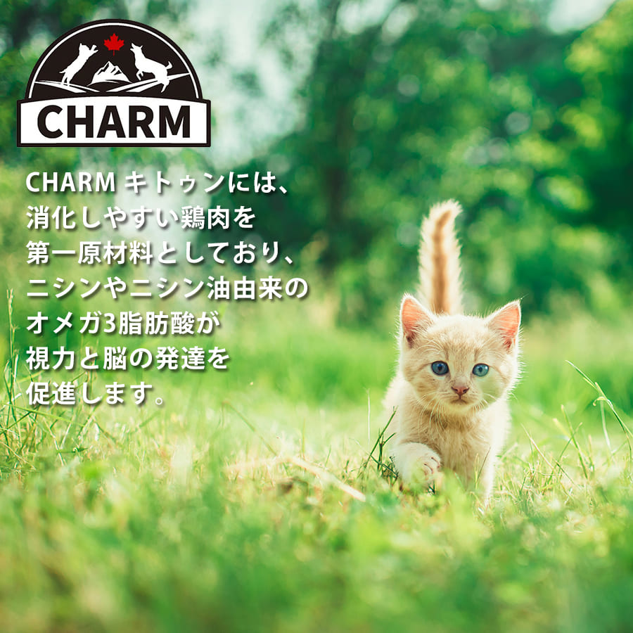 チャーム キトゥン | CHARM チャーム 正規品 キャットフード キトゥン 子猫 低アレルギー性 グレインフリー オメガ3脂肪酸 消化しやすい 皮膚 被毛 関節 泌尿器ケア サポート 毛玉ケア Non-GMO