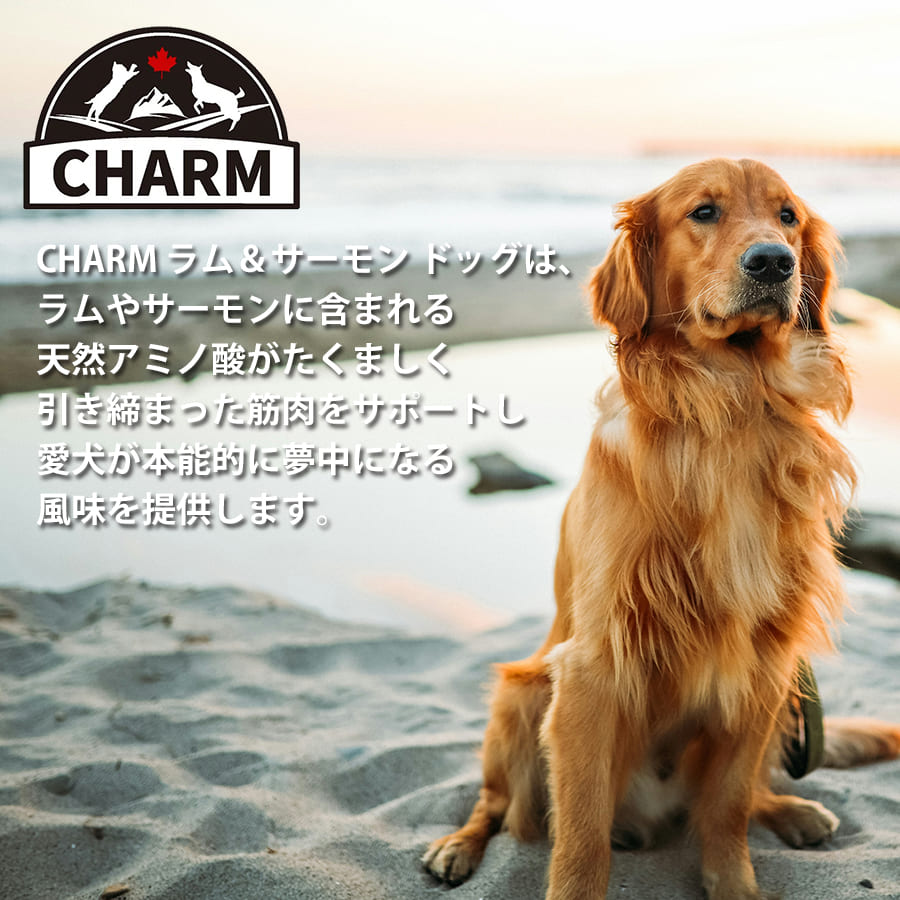 チャーム ラム&サーモン ドッグ | CHARM チャーム ドッグフード ラム&サーモンドッグ 正規品 犬 ドッグ 低アレルギー グレインフリー オメガ脂肪酸 泌尿器ケア Non-GMO原材料 穀物不使用 美味