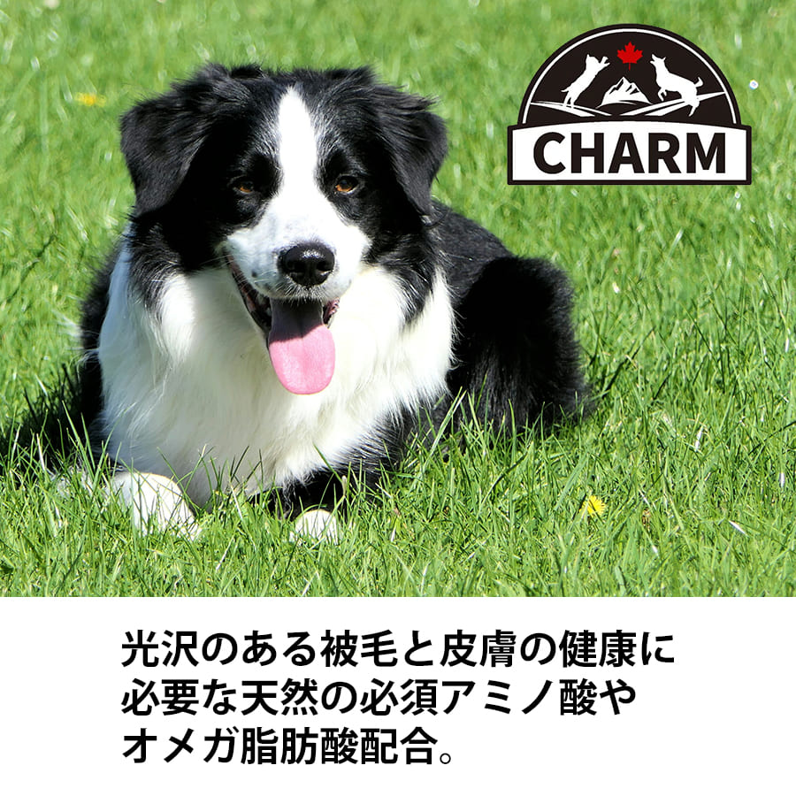 チャーム サーフ&ターフドッグ | CHARM チャーム 正規品 ドッグフード サーフ&ターフ 犬用 低アレルギー 総合栄養食 全成長段階 たんぱく質 グレインフリー 必須アミノ酸 オメガ脂肪酸 Non-GMO