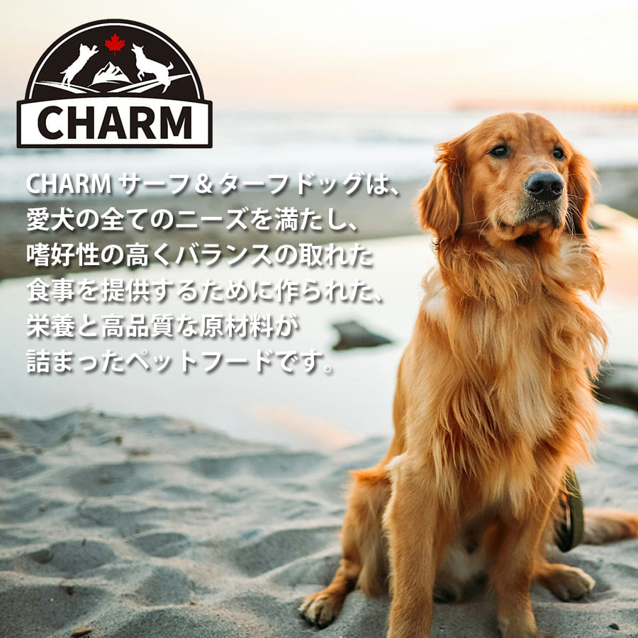 チャーム サーフ&ターフドッグ | CHARM チャーム 正規品 ドッグフード サーフ&ターフ 犬用 低アレルギー 総合栄養食 全成長段階 たんぱく質 グレインフリー 必須アミノ酸 オメガ脂肪酸 Non-GMO