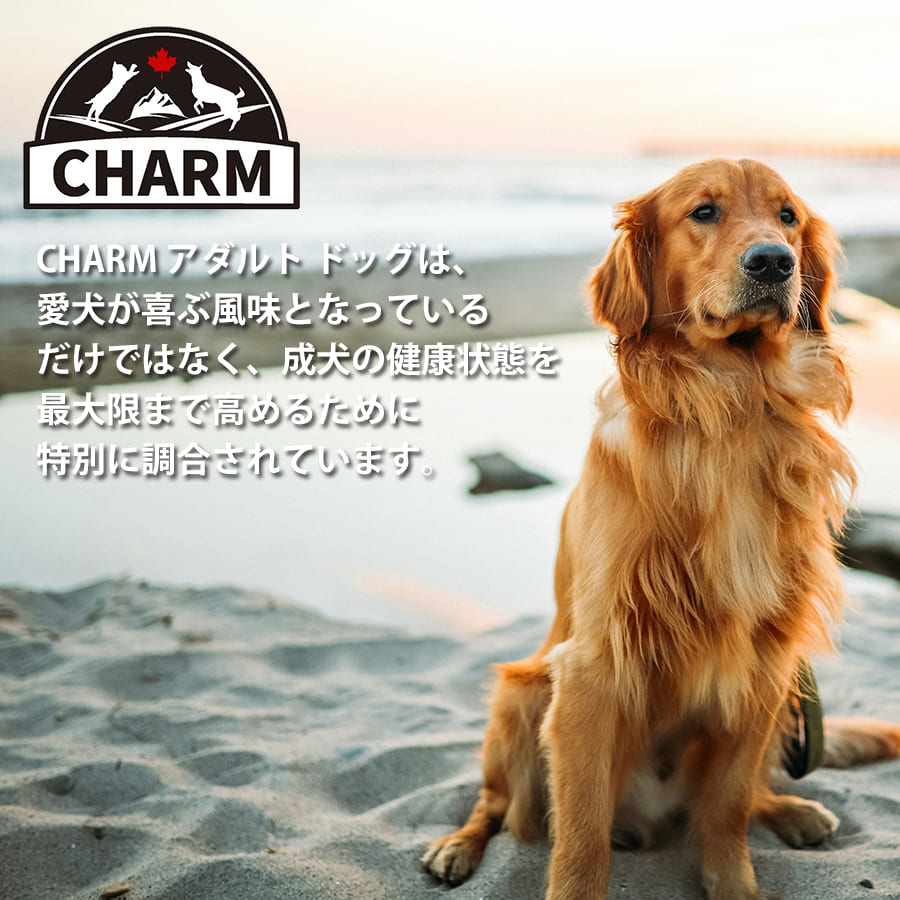 チャーム アダルトドッグ | CHARM チャーム 正規品 ドッグフード アダルトドッグ 犬 全犬種 穀物不使用 無添加 全ライフステージ アダルト 成犬用 低アレルギー ドライペットフード グレインフリ
