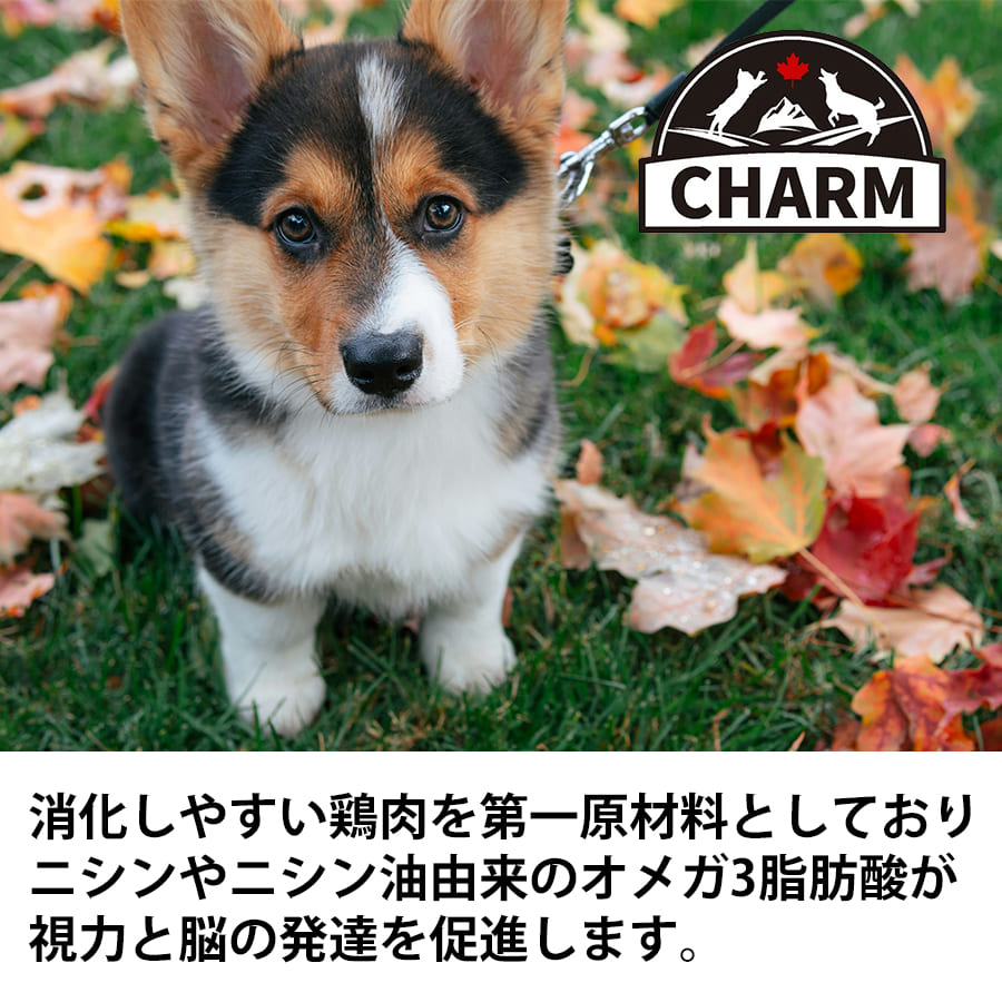 チャーム パピー 「ワイルドペットフード」 | CHARM チャーム 正規品 犬 いぬ イヌ ドッグフード パピー 総合栄養食 動物性たんぱく質 グレインフリー 低アレルギー Non-GMO原材料 オメガ3脂肪酸