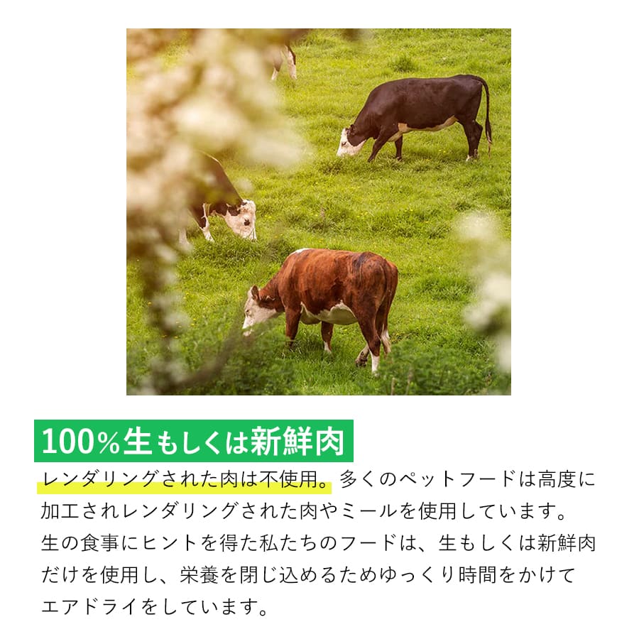 ジウィピーク オーラルヘルスケア&トリーツ ビーフウィーザンド | ジウィピーク ビーフウィーザンド ZIWI 正規品 犬用 ドッグ オーラルヘルスケア 無添加 デンタルチュー 牛肉 のど 穀物不使用