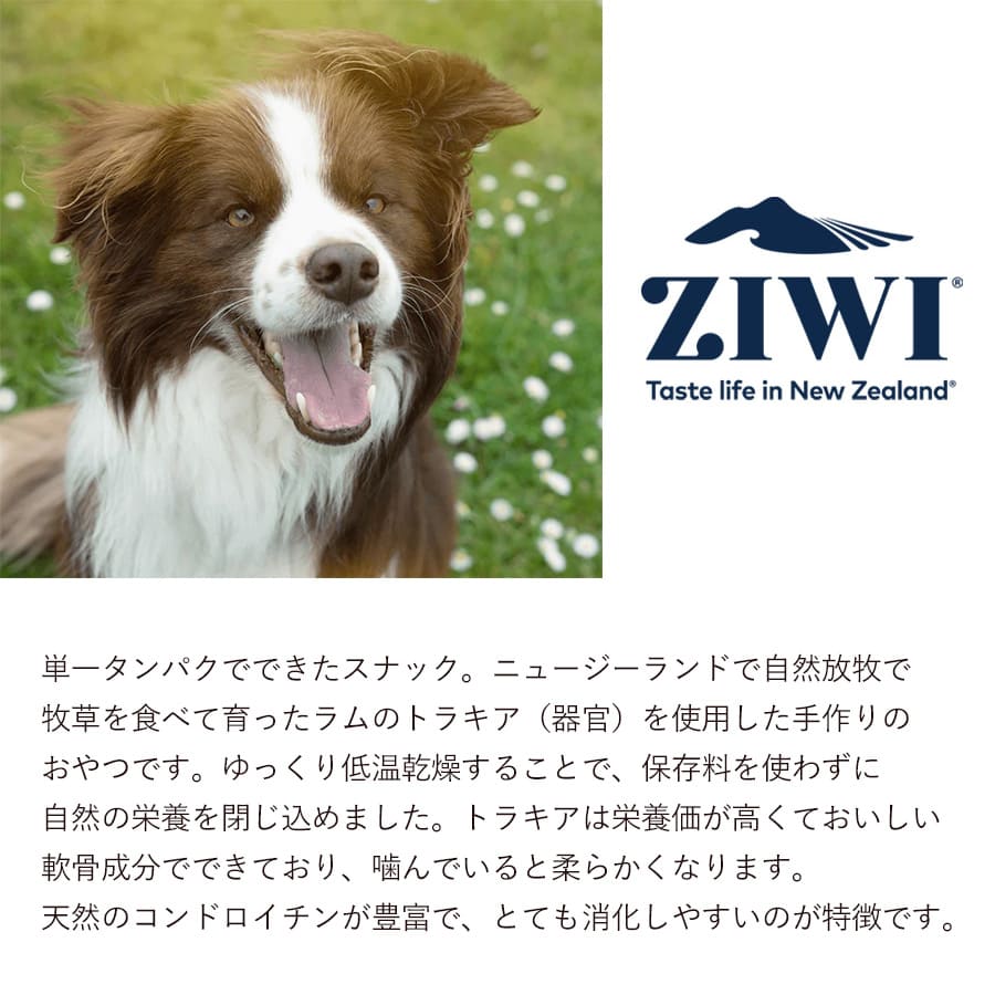 ジウィピーク オーラルヘルスケア&トリーツ ラムトラキア | ジウィピーク ラムトラキア ZIWI 正規品 犬用 ドッグ オーラルヘルスケア 無添加 デンタルチュー ラム 気管 穀物不使用 歯 健康 安全