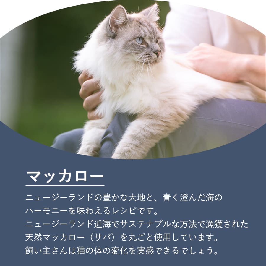 ジウィピーク キャット缶 マッカロー | ジウィピーク キャット缶 キャットフード ZiwiPeak 猫 ziwi ziwipeak マッカロー ウェットフード ジウィ 猫用 ZIWI グレインフリー 穀物不使用 猫缶 ニュ