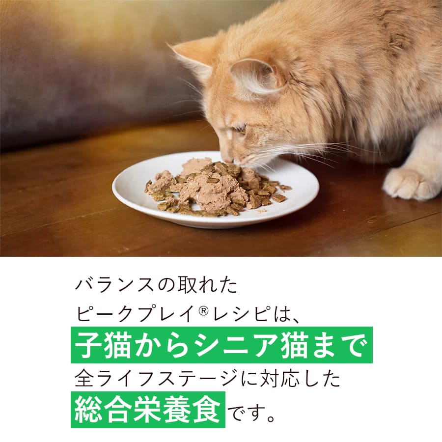 ジウィピーク キャット缶 マッカロー | ジウィピーク キャット缶 キャットフード ZiwiPeak 猫 ziwi ziwipeak マッカロー ウェットフード ジウィ 猫用 ZIWI グレインフリー 穀物不使用 猫缶 ニュ