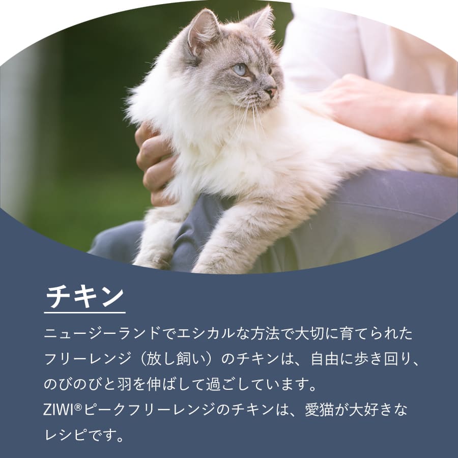 ジウィピーク キャット缶 チキン | ジウィピーク キャット缶 キャットフード ZiwiPeak 猫 ziwi ziwipeak チキン ウェットフード ジウィ 猫用 ZIWI グレインフリー 穀物不使用 猫缶 ニュージーラ