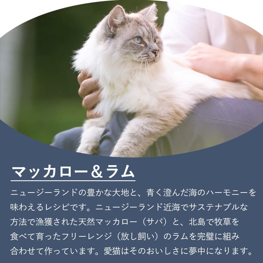 ジウィピーク キャット缶 マッカロー&ラム | ジウィピーク キャット缶 キャットフード ZiwiPeak 猫 ziwi ziwipeak マッカロー&ラム ウェットフード ジウィ 猫用 ZIWI グレインフリー 穀物不使