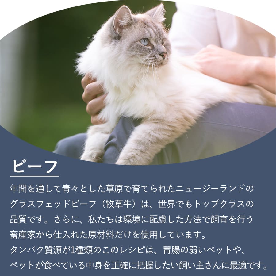ジウィピーク キャット缶 グラスフェッドビーフ | ジウィピーク キャット缶 キャットフード ZiwiPeak 猫 ziwi ziwipeak グラスフェッドビーフ ウェットフード ジウィ 猫用 ZIWI グレインフリー