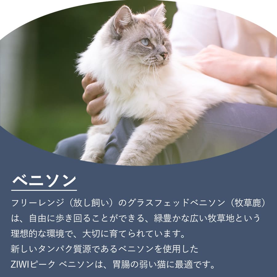 ジウィピーク キャット缶 ベニソン | ジウィピーク キャット缶 キャットフード ZiwiPeak 猫 ziwi ziwipeak ベニソン ウェットフード ジウィ 猫用 ZIWI グレインフリー 穀物不使用 猫缶 ニュージ