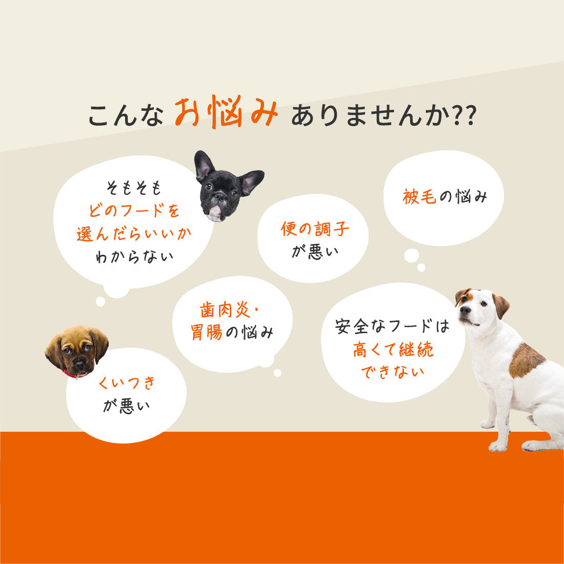 ドッグフード オーストラリア産 8kg | JYULL 全犬種用