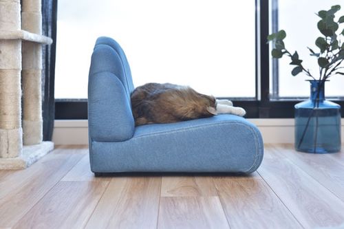 ペットソファ | ソファ ソファー フロアソファ sofa そふぁ リビング シンプル ナチュラル 北欧風 犬 猫 イヌ ネコ ペット クッション