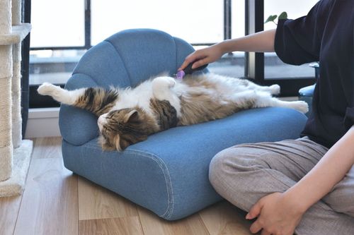 ペットソファ | ソファ ソファー フロアソファ sofa そふぁ リビング シンプル ナチュラル 北欧風 犬 猫 イヌ ネコ ペット クッション