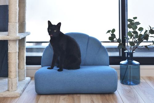 ペットソファ | ソファ ソファー フロアソファ sofa そふぁ リビング シンプル ナチュラル 北欧風 犬 猫 イヌ ネコ ペット クッション