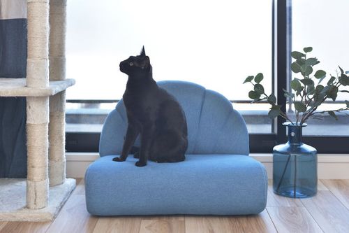 ペットソファ | ソファ ソファー フロアソファ sofa そふぁ リビング シンプル ナチュラル 北欧風 犬 猫 イヌ ネコ ペット クッション