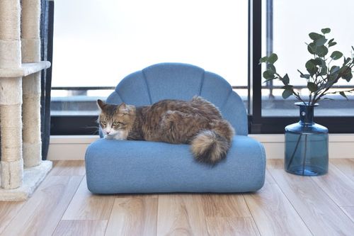 ペットソファ | ソファ ソファー フロアソファ sofa そふぁ リビング シンプル ナチュラル 北欧風 犬 猫 イヌ ネコ ペット クッション