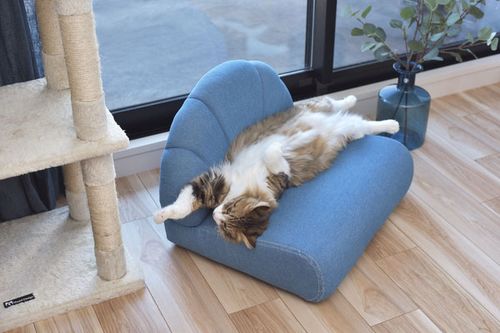 ペットソファ | ソファ ソファー フロアソファ sofa そふぁ リビング シンプル ナチュラル 北欧風 犬 猫 イヌ ネコ ペット クッション