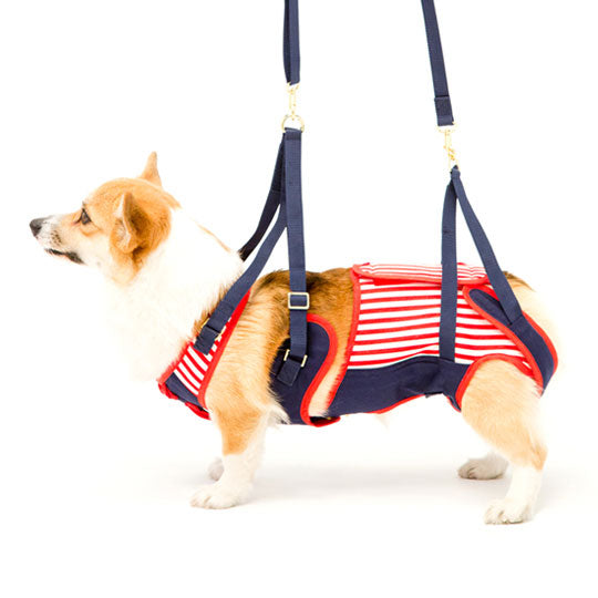 歩行補助 ハーネス コーギー用 セーラーマリン | 犬 ハーネス 介護 ペット コーギー 散歩 おでかけ 歩行サポート 愛犬 おしゃれ コーギー 中型犬 サイズ調整 胴巻き ラダーフレーム