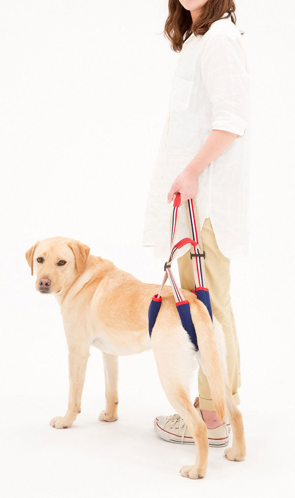 歩行補助ハーネスSTEP アイビー 中、大型犬用 | 犬 ハーネス 介護 ペット 中型犬 大型犬 散歩 おでかけ