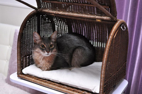 ラタンキャリーベッド | オールハンドメイド 天然素材ベッド キャットベッド キャット キャットハウス 籐 トウ ラタン ベッド ネコ 小型クッション おしゃれ かわいい キャリー