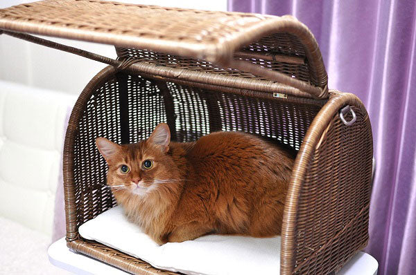ラタンキャリーベッド | オールハンドメイド 天然素材ベッド キャットベッド キャット キャットハウス 籐 トウ ラタン ベッド ネコ 小型クッション おしゃれ かわいい キャリー