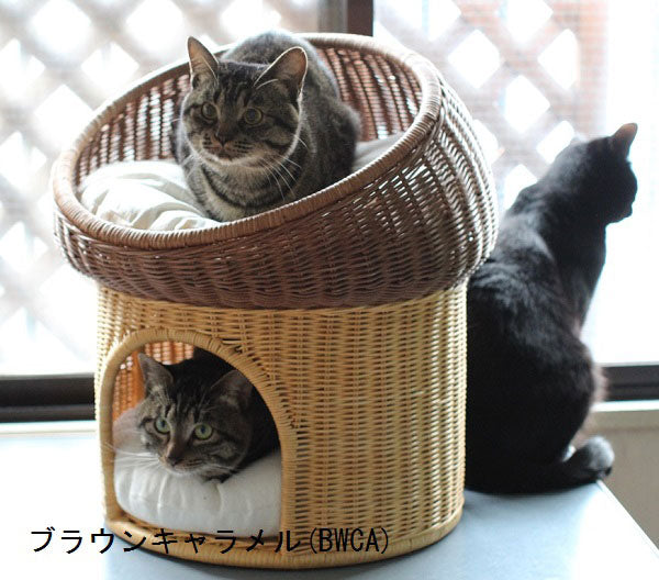 ペット用ラタンマッシュルームベッド | オールハンドメイド 天然素材ベッド キャットベッド キャット キャットハウス 籐 トウ ラタン ベッド ネコ 小型クッション おしゃれ かわいい