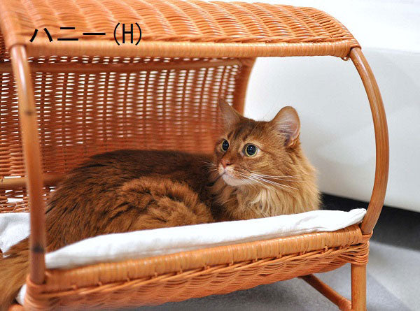 ラタントンネルベッド | オールハンドメイド 天然素材ベッド キャットベッド キャット キャットハウス 籐 トウ ラタン ベッド ネコ 小型犬 クッション おしゃれ かわいい