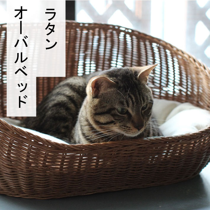 ラタンオーバルベッド | オールハンドメイド 天然素材ベッド キャットベッド キャット キャットハウス 籐 トウ ラタン ベッド ネコ 小型犬 クッション おしゃれ かわいい