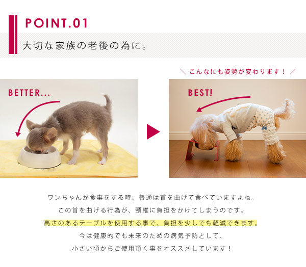 新色登場! S フードボウルテーブル 2皿 | フードボール 犬 イヌ 猫 ネコ 食器台 食器 北欧 モダン シンプル おしゃれ お皿 スタンド テーブル 清潔 かわいい 洗える カラフル プレゼント