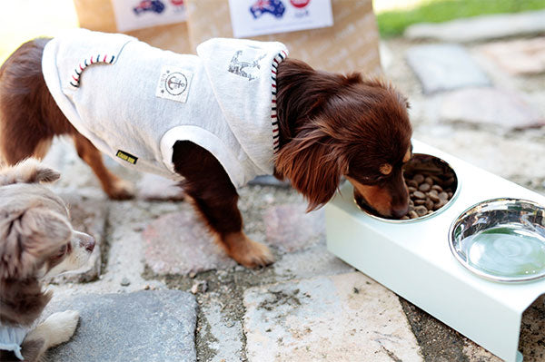 新色登場! S フードボウルテーブル 2皿 | フードボール 犬 イヌ 猫 ネコ 食器台 食器 北欧 モダン シンプル おしゃれ お皿 スタンド テーブル 清潔 かわいい 洗える カラフル プレゼント