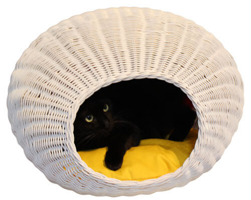 ペット用 ベッドハウス ラタン | ハウス 猫用ハウス 犬用ハウス ペット用ハウス ベッド マット 小型犬用ベッド 猫用ベット ペット ベッド 犬用品 猫用品 ペット ペットグッズ ペット用品