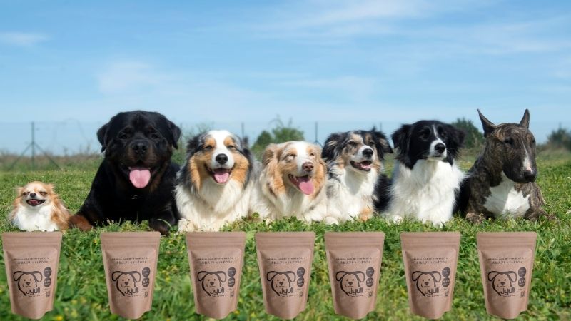 犬の無添加おやつはコスパ抜群のJYULL | 毎日のごはんにもトリーツにも