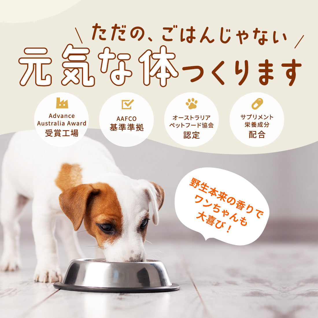 犬がカリカリを食べない原因と対策｜食いつきがいいラムの無添加ドッグフード【JYULLフード】