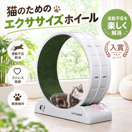 ストレス解消回転ホイール