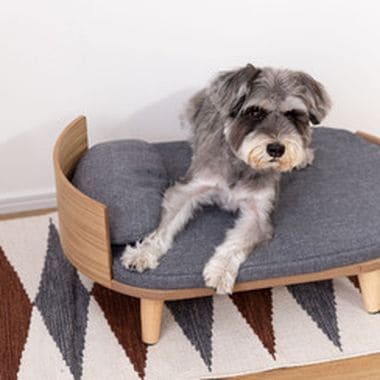 ペットベッド ベッド 楕円 楕円形 犬 猫 犬猫 ペット ペット用ベッド インテリア 一緒 仲良し 寝室 可愛い お洒落 オシャレ 犬用 猫用 ドッグ キャット かわいい おしゃれ シンプル クッション