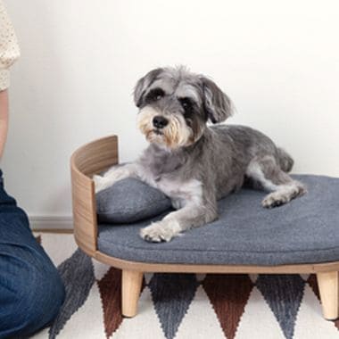 ペットベッド ベッド 楕円 楕円形 犬 猫 犬猫 ペット ペット用ベッド インテリア 一緒 仲良し 寝室 可愛い お洒落 オシャレ 犬用 猫用 ドッグ キャット かわいい おしゃれ シンプル クッション