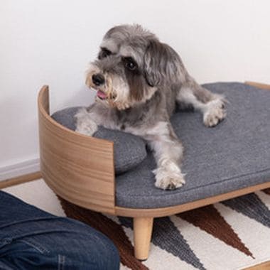 ペットベッド ベッド 楕円 楕円形 犬 猫 犬猫 ペット ペット用ベッド インテリア 一緒 仲良し 寝室 可愛い お洒落 オシャレ 犬用 猫用 ドッグ キャット かわいい おしゃれ シンプル クッション